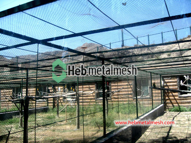 Sample 1.5" x 1.5" x 1/16" stainless steel rope mesh aviary mesh panels parrot cage netting small animal enclosure fence