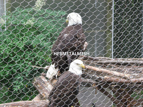 Sample 2" x 2" x 3/32" stainless steel rope mesh macaw enclosure net animal enclosure mesh monkey cage fence