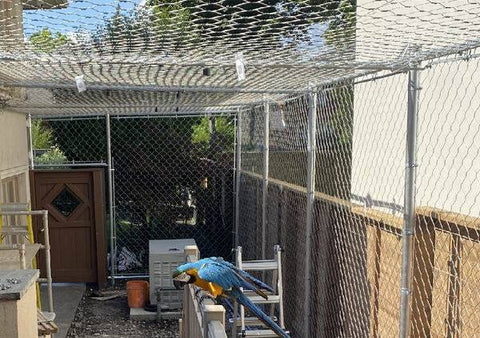 Sample 2" x 2" x 3/32" stainless steel rope mesh macaw enclosure net animal enclosure mesh monkey cage fence