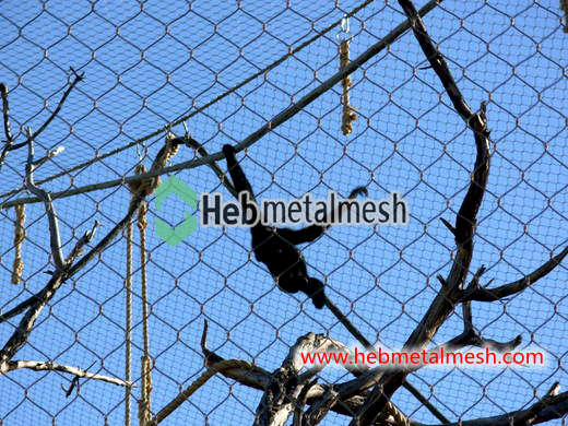 Sample 2" x 2" x 3/32" stainless steel rope mesh macaw enclosure net animal enclosure mesh monkey cage fence